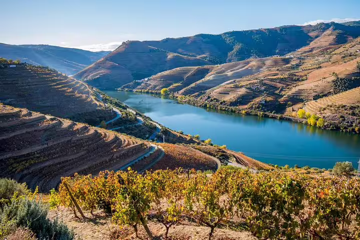 Scenic view of Douro Valley vineyards and river, highlighting the stunning landscape on a private tour from Porto.