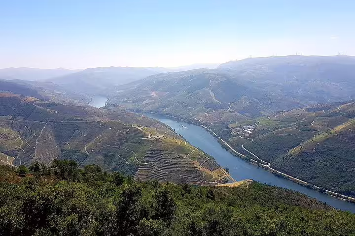 Scenic view of the Douro River winding through lush vineyards and rolling hills under a clear blue sky in Portugal.
