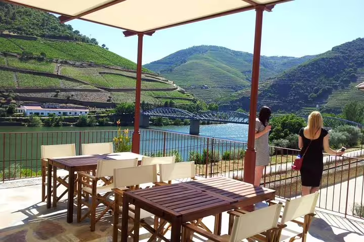 Scenic view from Douro Valley terrace overlooking vineyards and river on Porto private wine tour.
