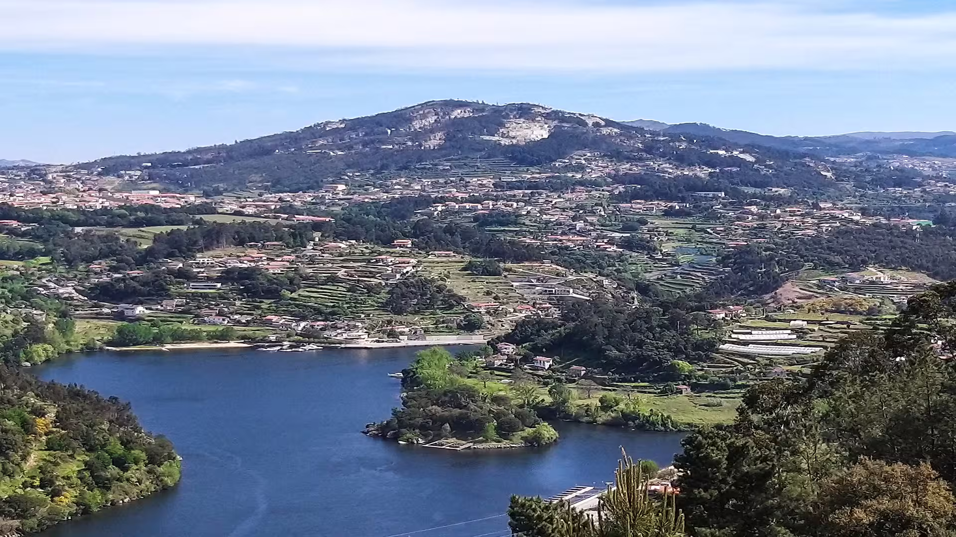 Scenic view of Douro Valley landscape with lush vineyards and river, ideal for Foz Côa private tour showcasing rock carvings.