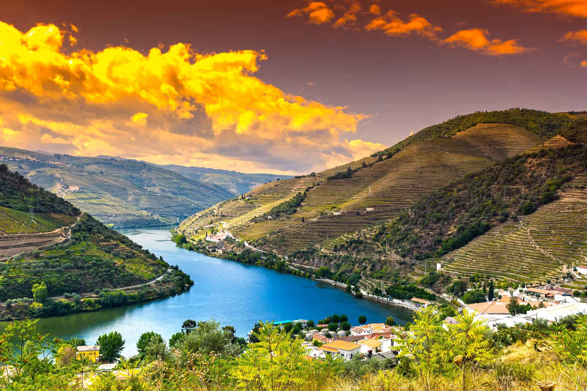 Sunset view over Douro Valley terraced vineyards and river bend in Portugal, scenic Exclusive Discovery Moment experience