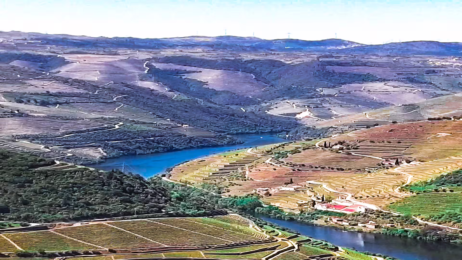 Scenic view of Douro Valley vineyards and river, highlighting terraced landscapes on the Foz Côa and Douro Private Tour.