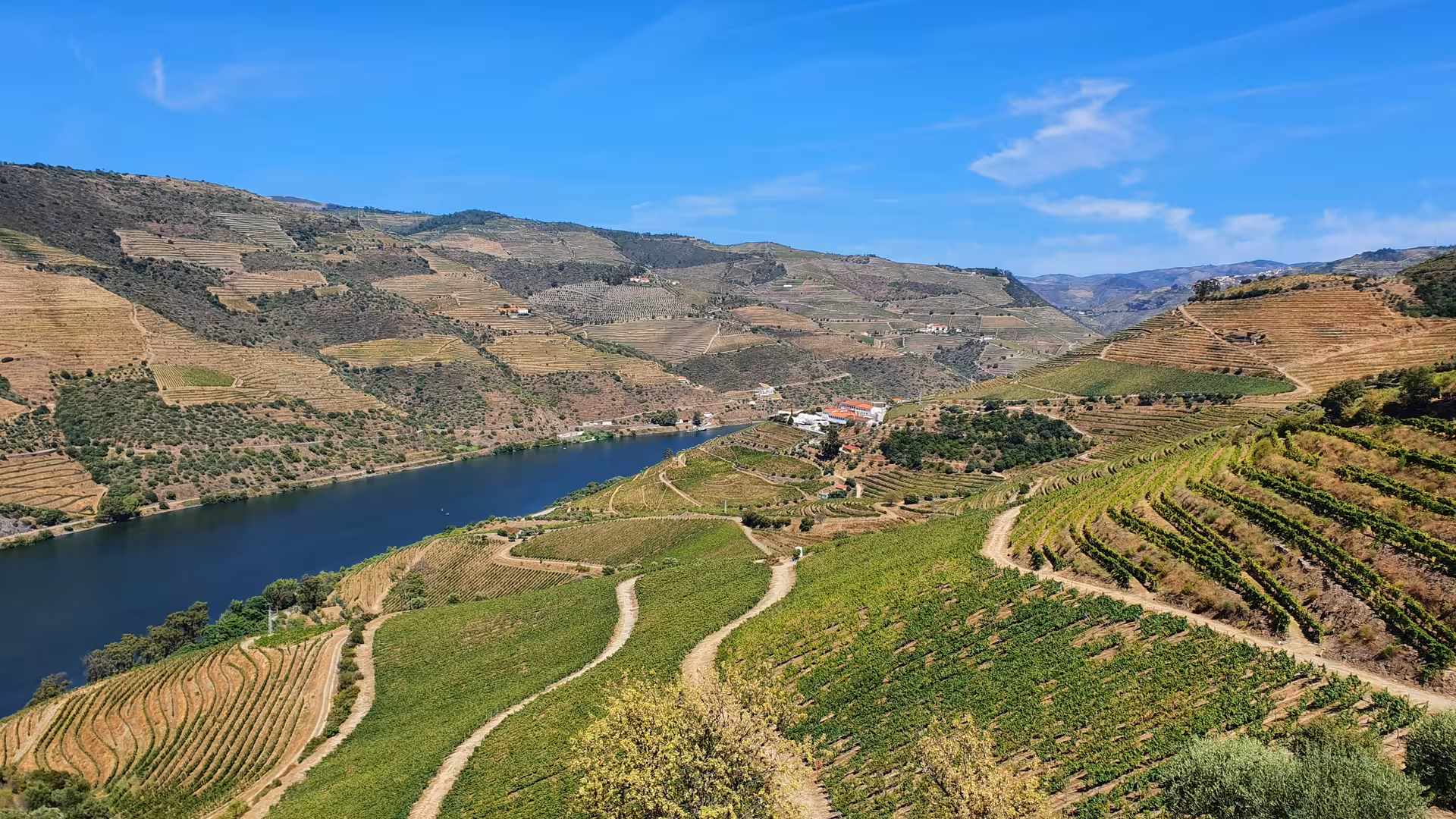 Terraced Douro Valley vineyards above the river, panoramic view on private train tour with Vinho Verde tasting
