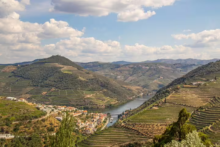 Panoramic view of Douro Valley vineyards and river, highlighting lush landscapes on a Porto wine tour.