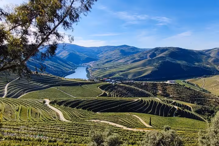 Scenic Douro Valley terraced vineyards overlooking the Douro River, premium wine tour viewpoint in Portugal