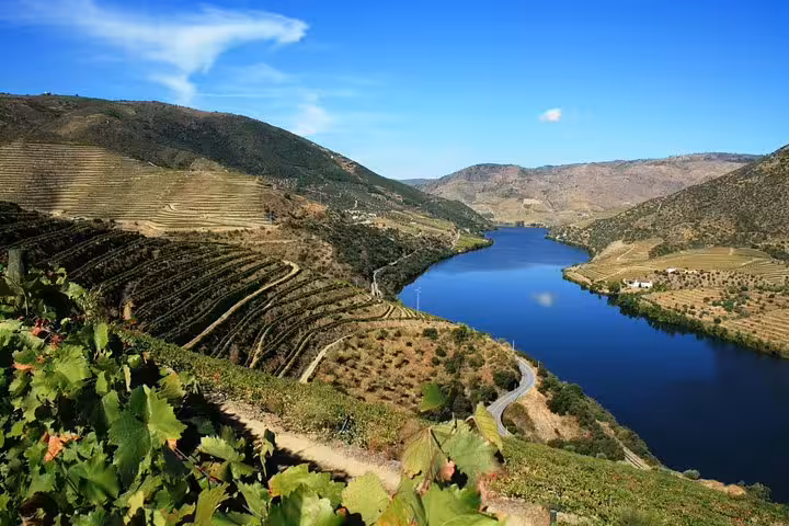 Scenic view of Douro Valley vineyards along the river under clear blue skies.