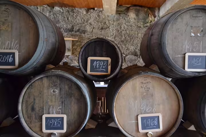 Aged wine barrels labeled by year, showcasing the rich heritage of Douro Valley wineries and vineyards.