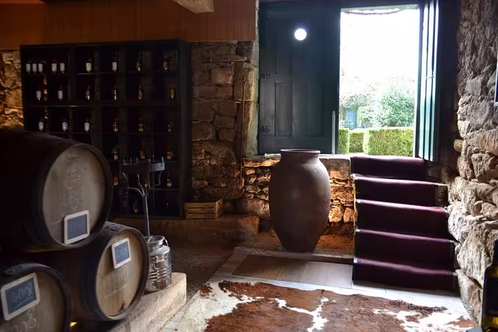 Rustic wine cellar with oak barrels and vintage decor on Douro Valley wine tasting tour.