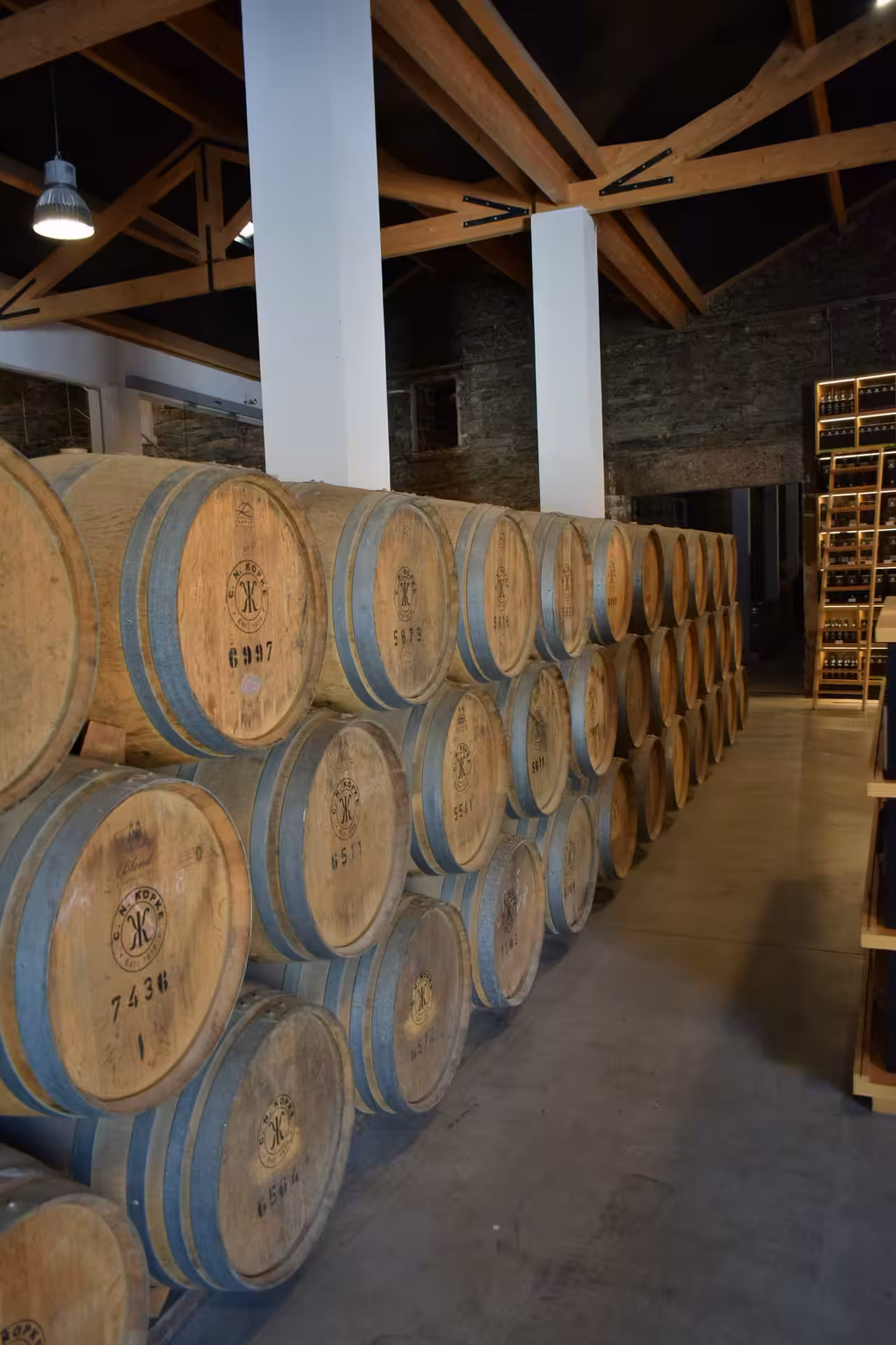 Oak barrels in a Douro Valley wine cellar during winery visit, featuring port wine tasting on the tour