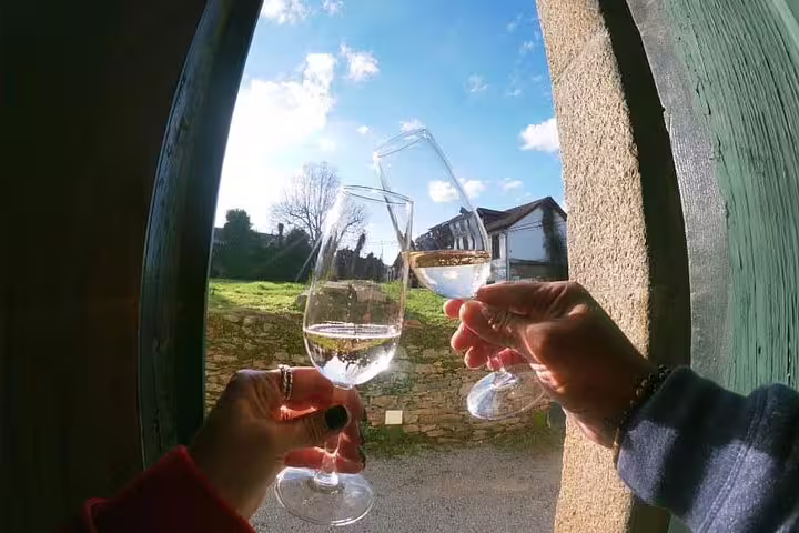 Toasting with wine glasses against a scenic backdrop in the Douro Valley, highlighting a private tour from Porto.