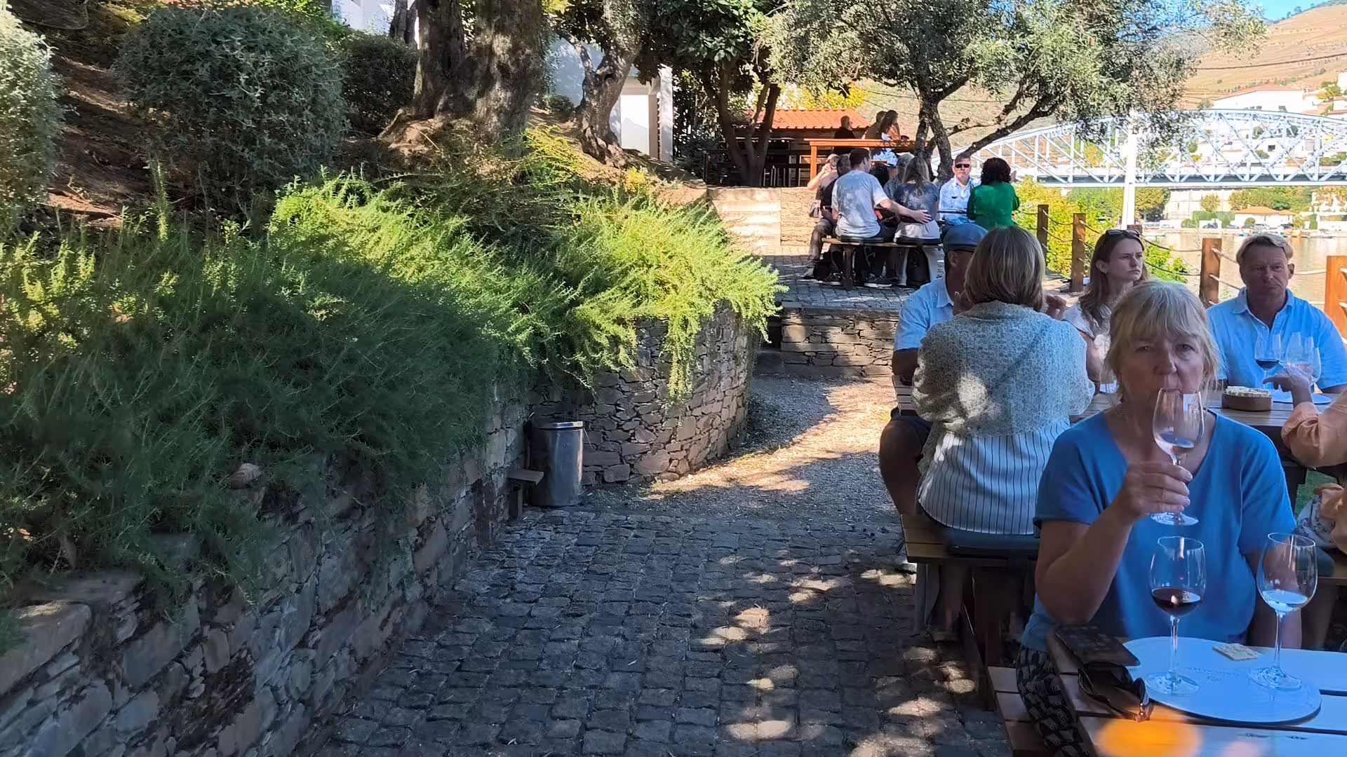 Riverside wine tasting stop on a Douro Valley panoramic tour with guests enjoying Port by the river