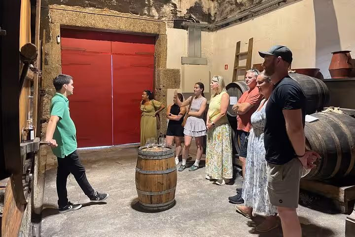 Small group enjoys a sommelier-led port wine tasting in a Douro Valley cellar near Porto, with old barrels and local stories.