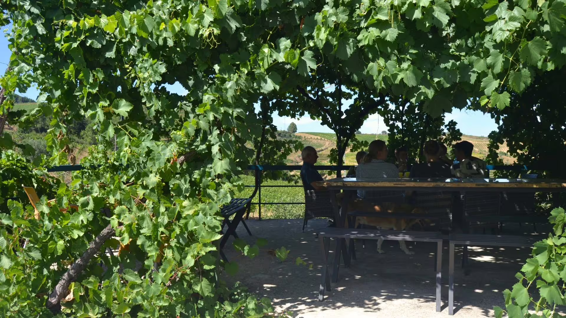 Image of a small group enjoying a wine tasting in a beautiful terrace