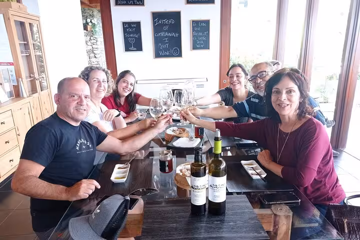Group toasting with wine glasses during a Douro Valley winery tasting experience on a guided tour