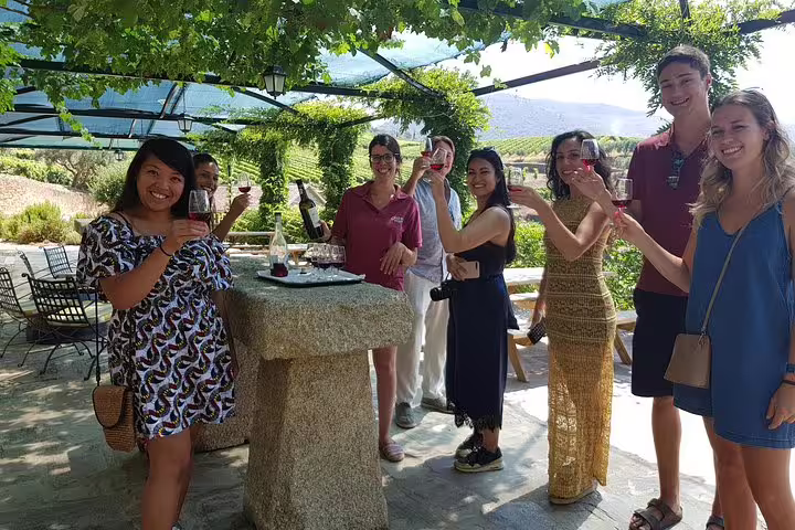 Group of people enjoying a wine tasting under a pergola at a Douro Valley vineyard, surrounded by lush greenery.
