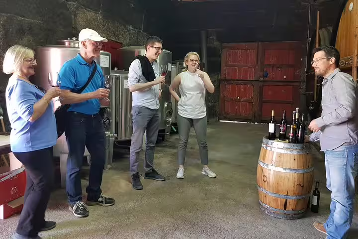 Tourists enjoy wine tasting with a guide at a Douro Valley vineyard during a wine tour experience.