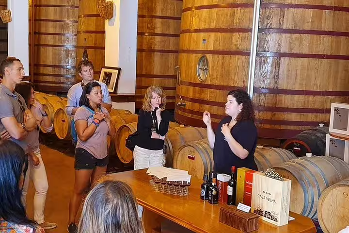 Tourists listening to a guide during a wine tour in a Douro Valley cellar, surrounded by large wooden barrels.