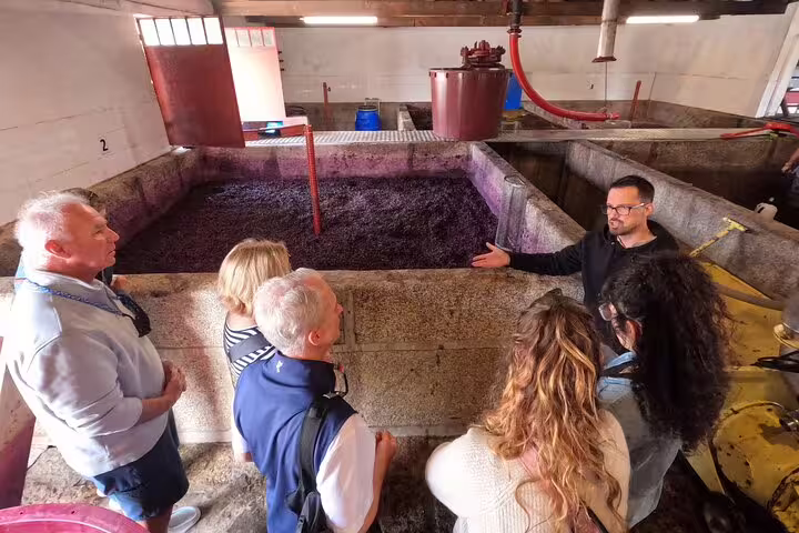 Tour group learning about wine production near a fermentation tank in a Douro Valley vineyard.