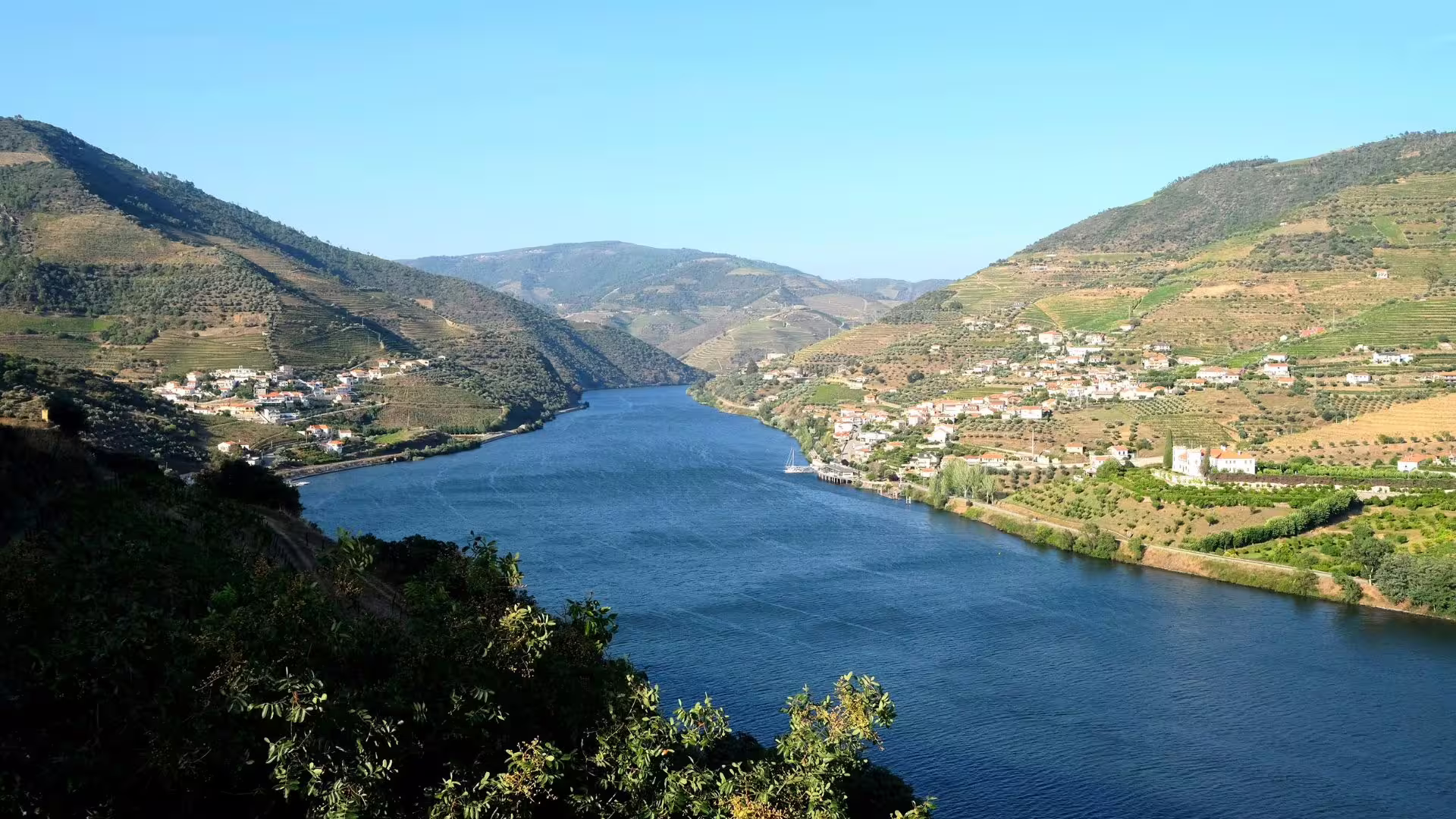 Image of the Douro River alongside the Douro terraces on Cooltour Oporto's Douro Valley Wine Tour from Porto
