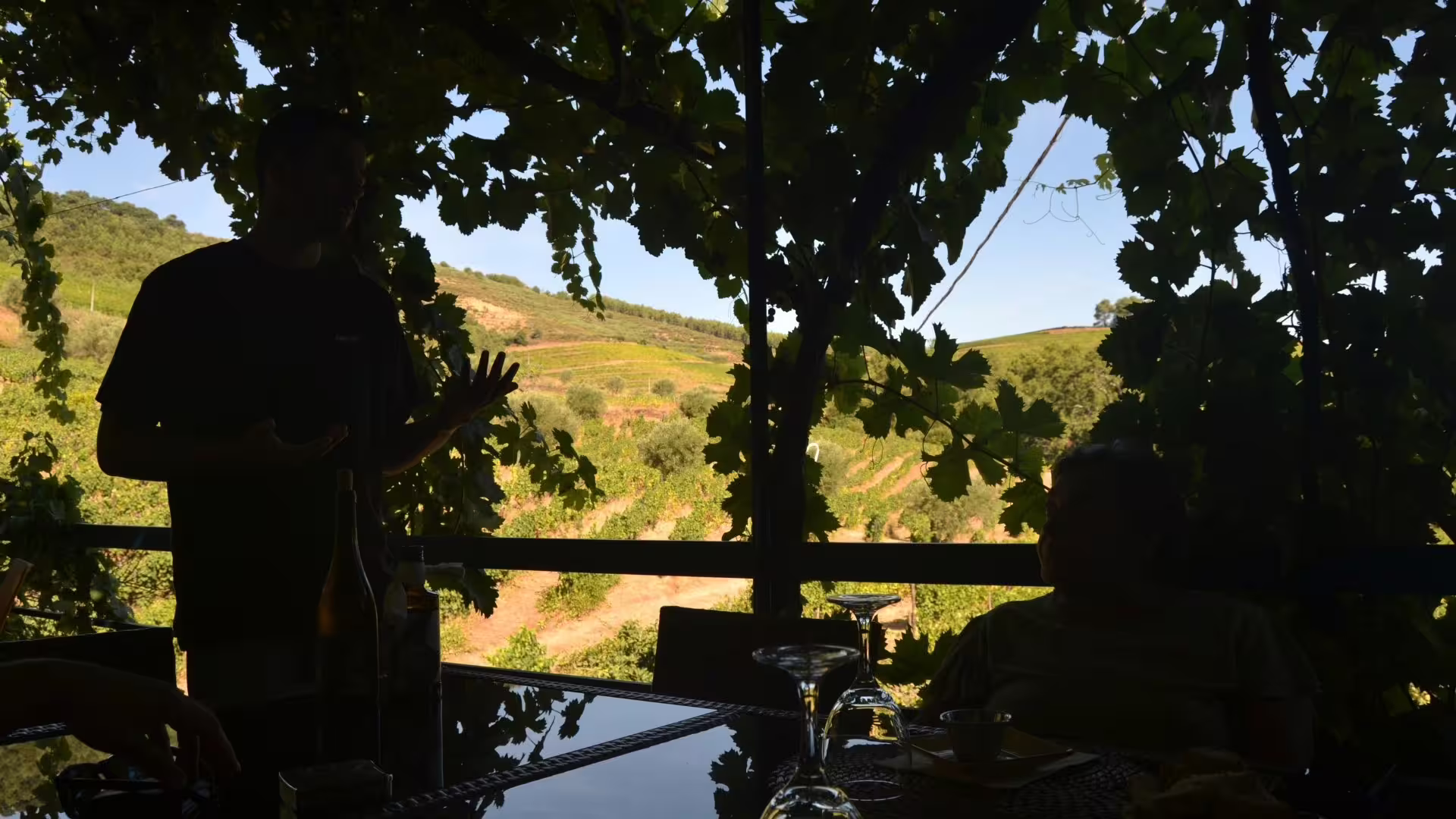 Image of a beautiful Douro terrace during our tour