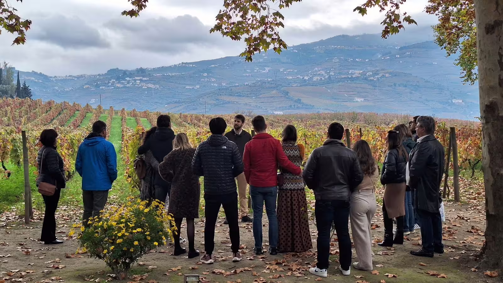 Group enjoying a guided tour through Douro Valley vineyards, surrounded by scenic landscapes and renowned wineries.