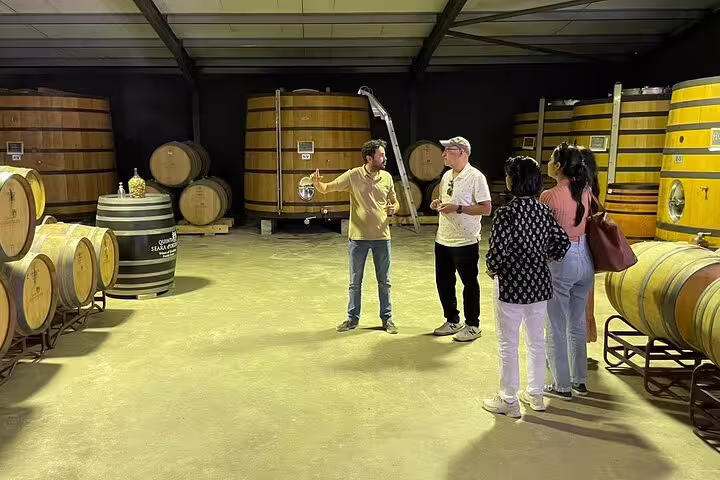 Guided tour inside a Douro Valley winery, highlighting sustainable wine production and exclusive experiences.