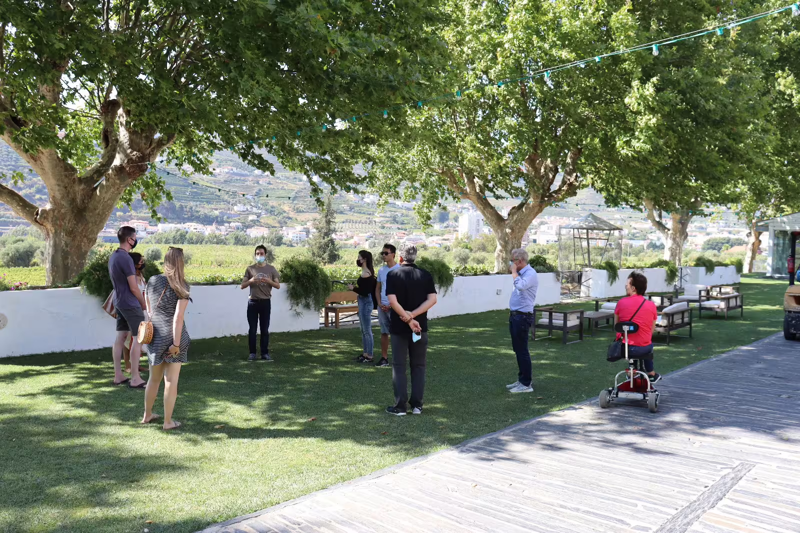 Visitors enjoy a guided tour in the lush Douro Valley, surrounded by vineyards and scenic landscapes at a renowned winery.