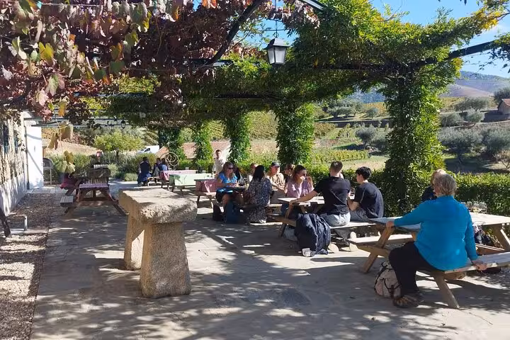 Guests enjoying wine tasting at a scenic Douro Valley winery patio shaded by lush grapevines