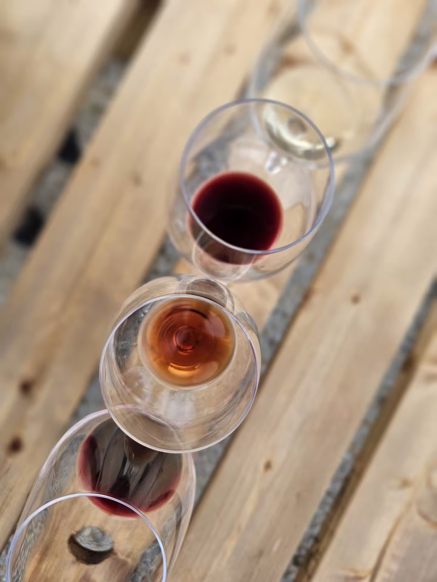 Array of wine glasses showcasing diverse Douro Valley wines on a rustic wooden table.