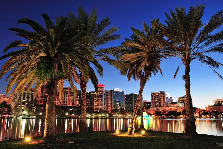 Downtown Orlando skyline at night reflected on lake with illuminated palm trees in foreground