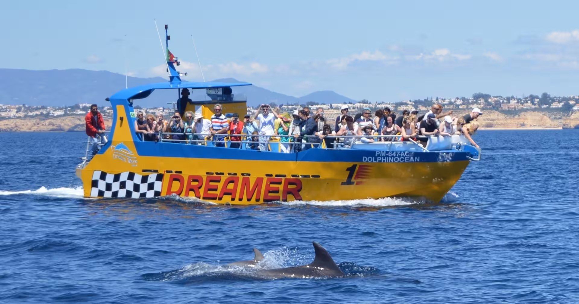 Vibrant Dreamer boat with tourists watching dolphins playfully swimming nearby, showcasing the popular dolphin tour.