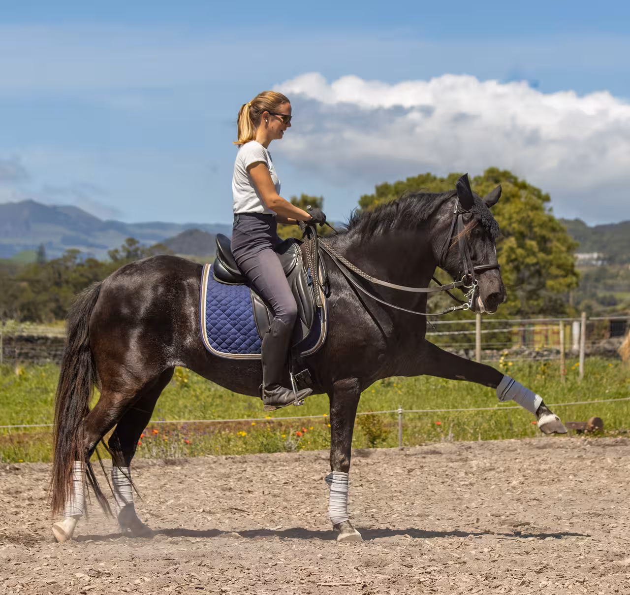 Rider practicing dressage on a black horse under clear skies, showcasing skillful afternoon horseback riding.