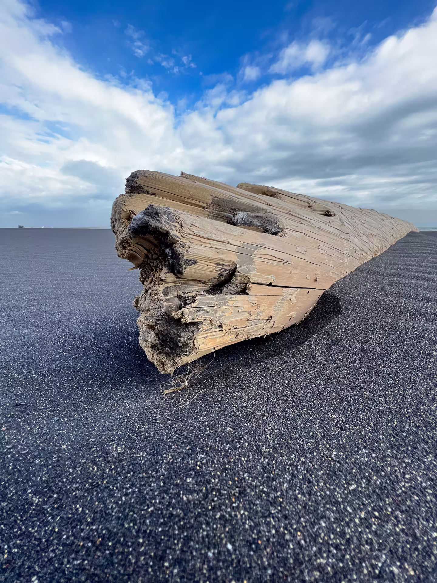 Driftwood log on black volcanic sand beach under blue sky on Iceland's south coast