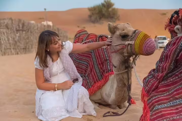 Smiling woman in white dress pets a decorated camel at sunset on a Dubai desert safari with local Bedouin camp