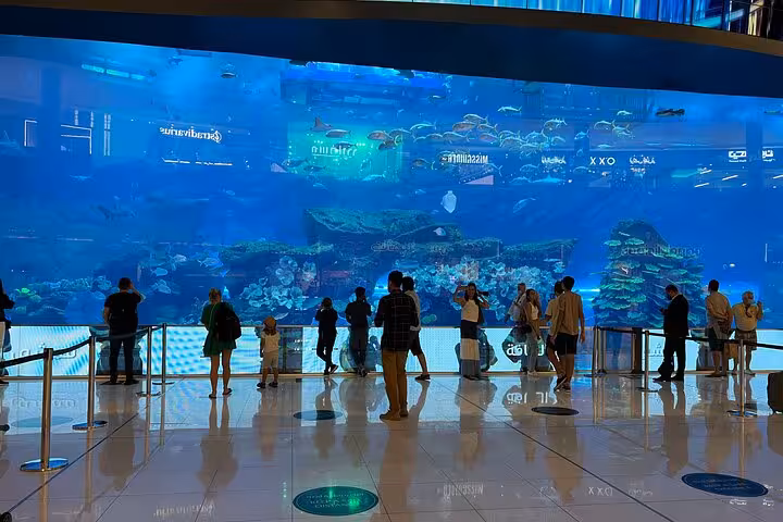 Visitors at Dubai Mall Aquarium viewing marine life, Dubai city pickup and drop off transfer to Fujairah