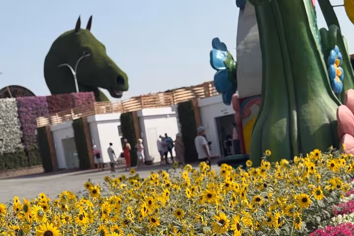 Dubai Miracle Garden flower beds with giant topiary horse display, Fujairah transport tour experience