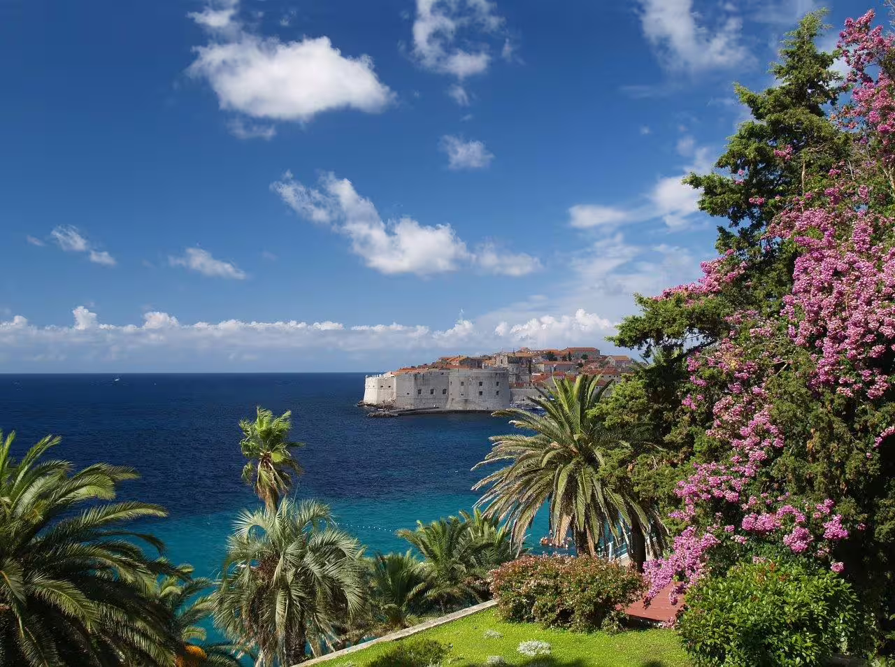 View of Dubrovnik city walls and Adriatic Sea framed by palms, ideal stop on Croatia self-drive itinerary