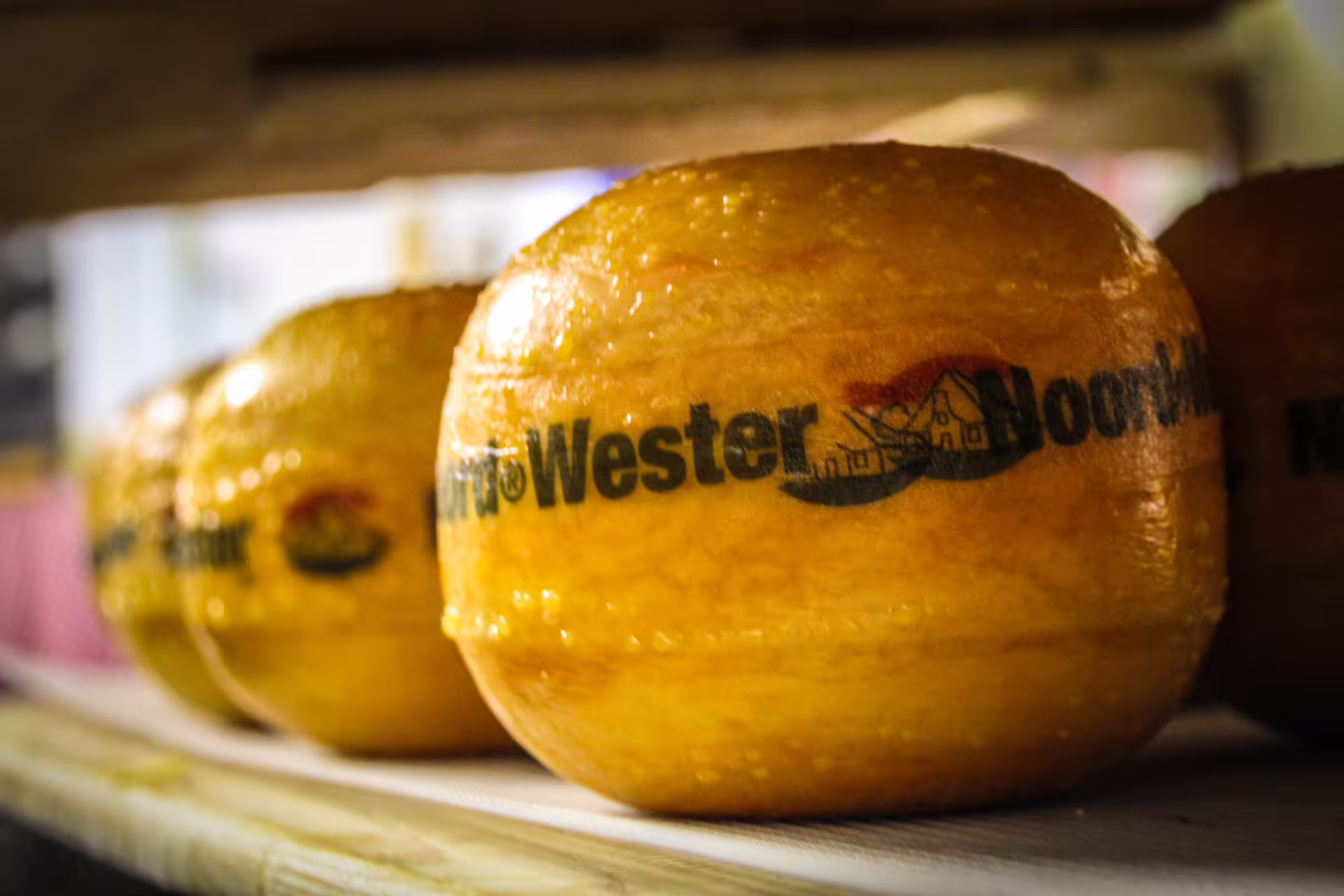 Close-up of traditional Dutch cheese wheels in a Zaanse Schans shop, highlighting authentic Edam and Volendam cheese experience.