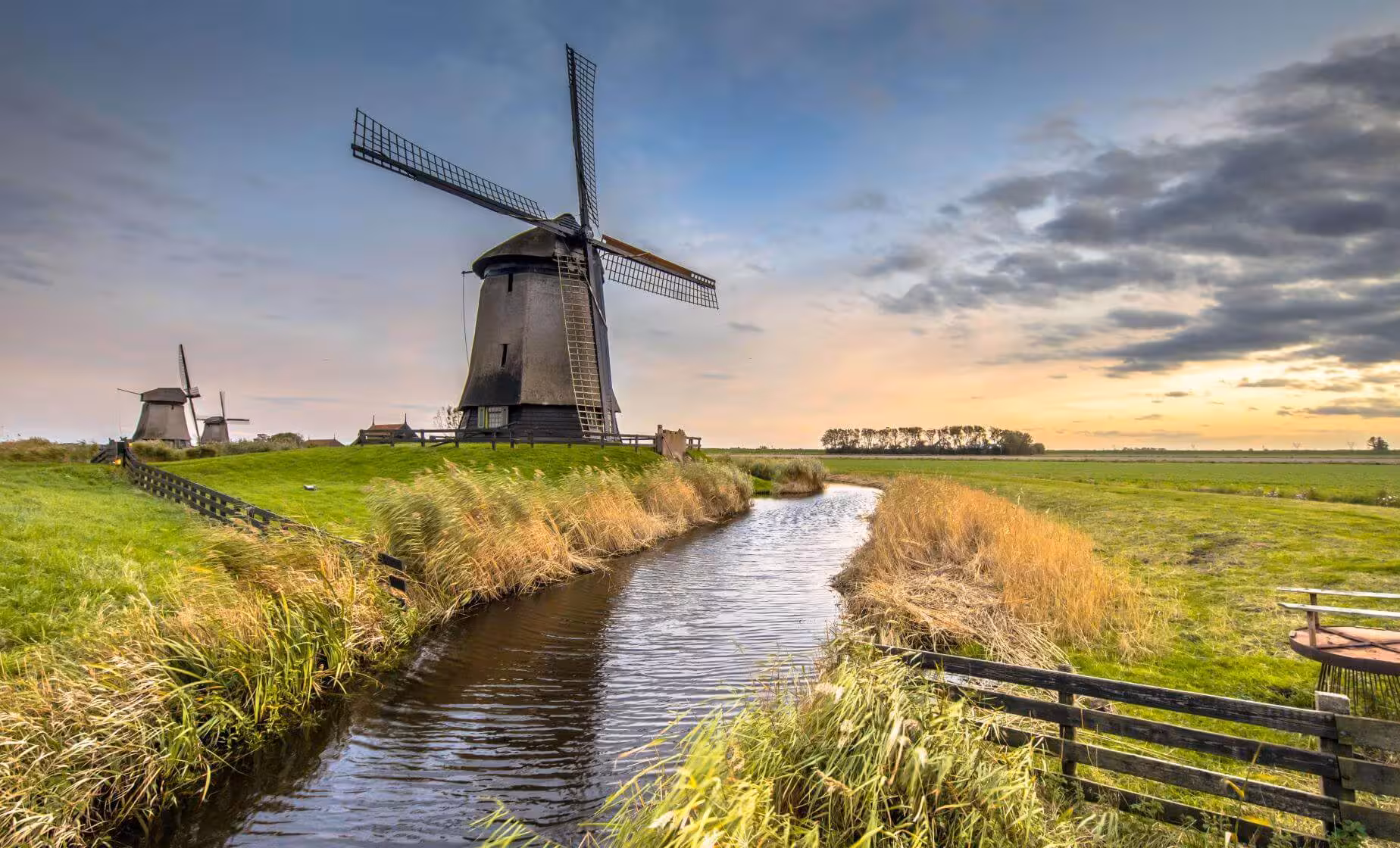 Dutch windmill by canal and green polder on private tour from The Hague, exploring dikes and heritage