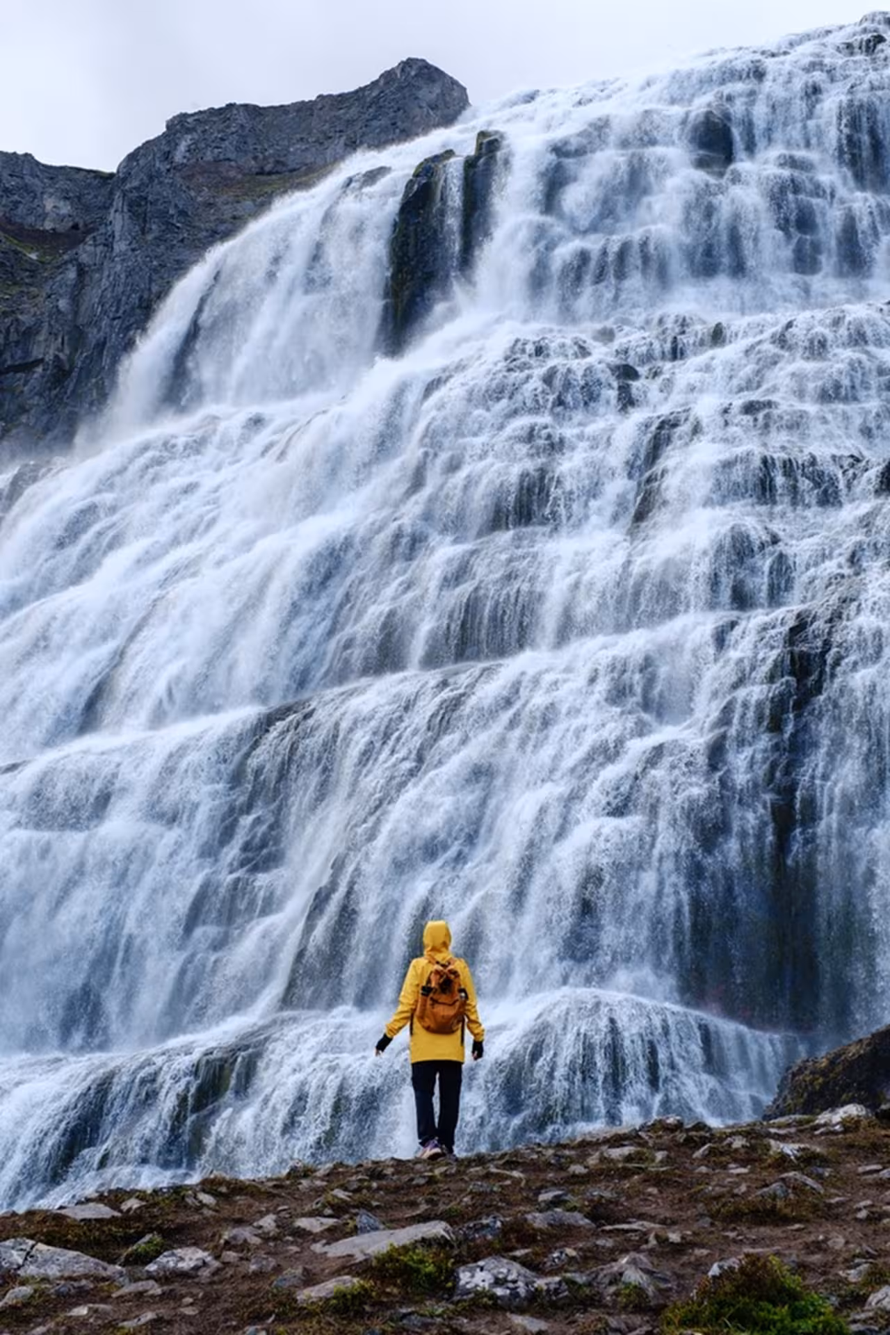 Hiker in yellow jacket standing before the cascading tiers of Dynjandi Waterfall in Iceland's Westfjords