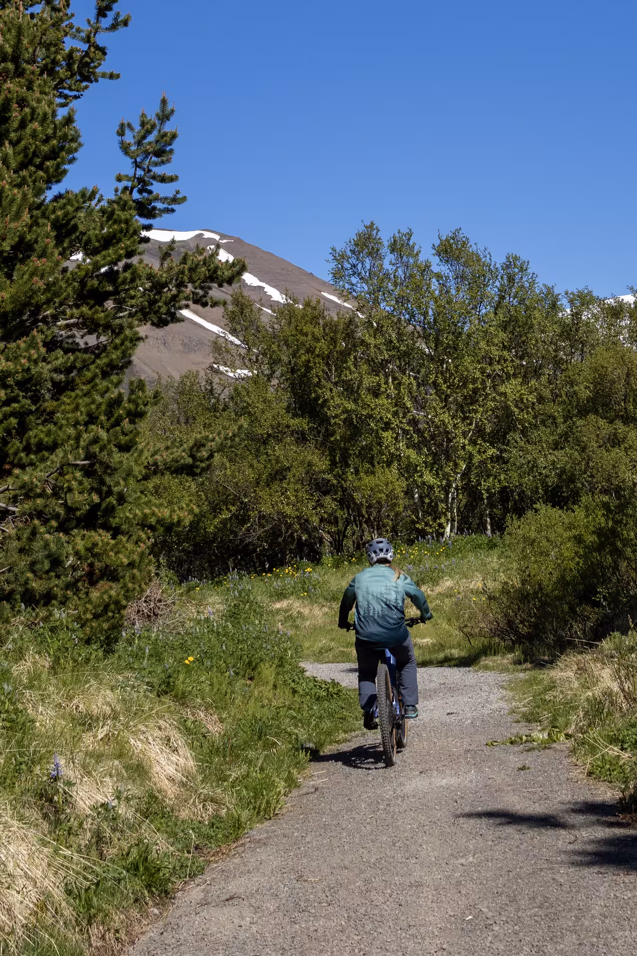 Cyclist on e-bike riding gravel trail through green forest toward snow-capped mountain in Svarfadadalur