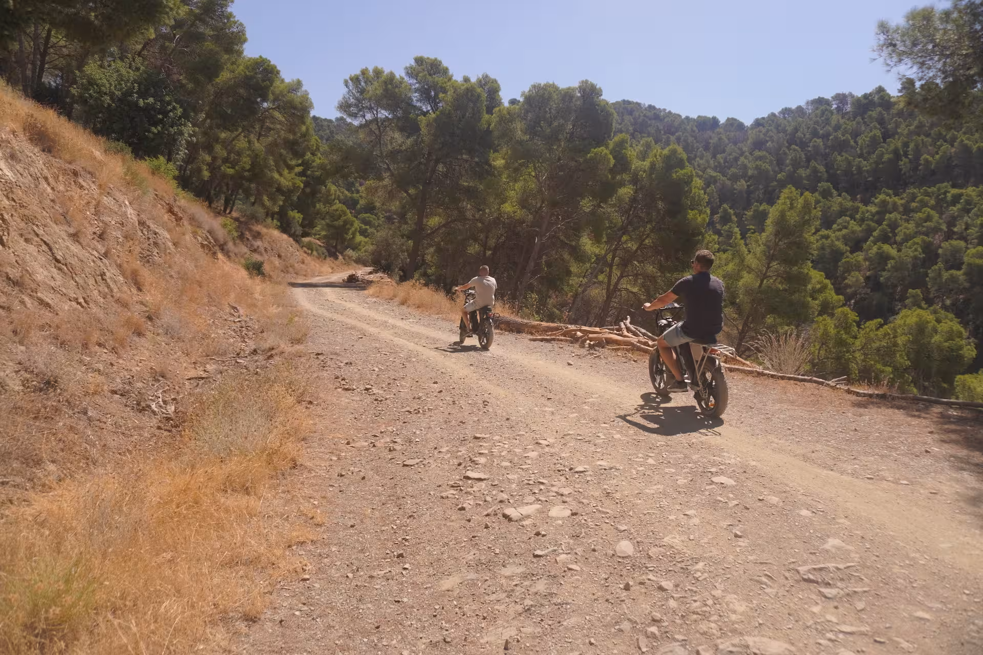 Two riders on e-fat bikes cruising a pine forest dirt trail on a 4-hour coastal views bike rental adventure