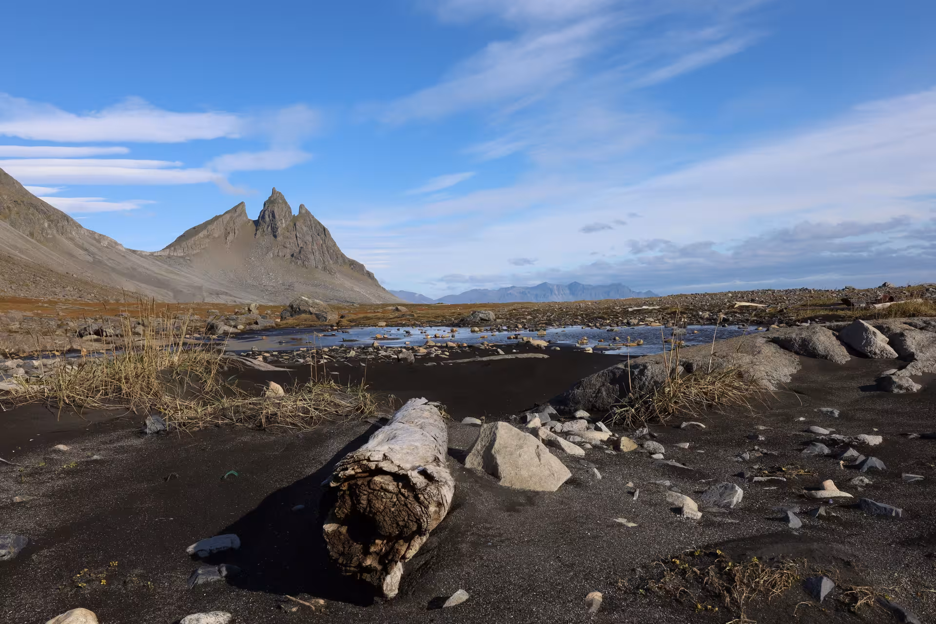 Dramatic jagged mountain peaks rise above a black sand riverbed with driftwood log in Iceland's Eastfjords