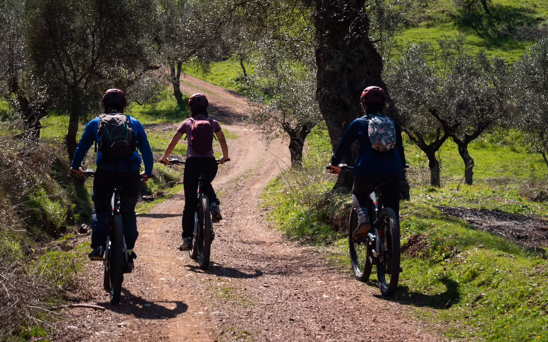 E-bike tour on a scenic dirt path through olive trees near Ancient Messene, Messinia, Greece countryside ride