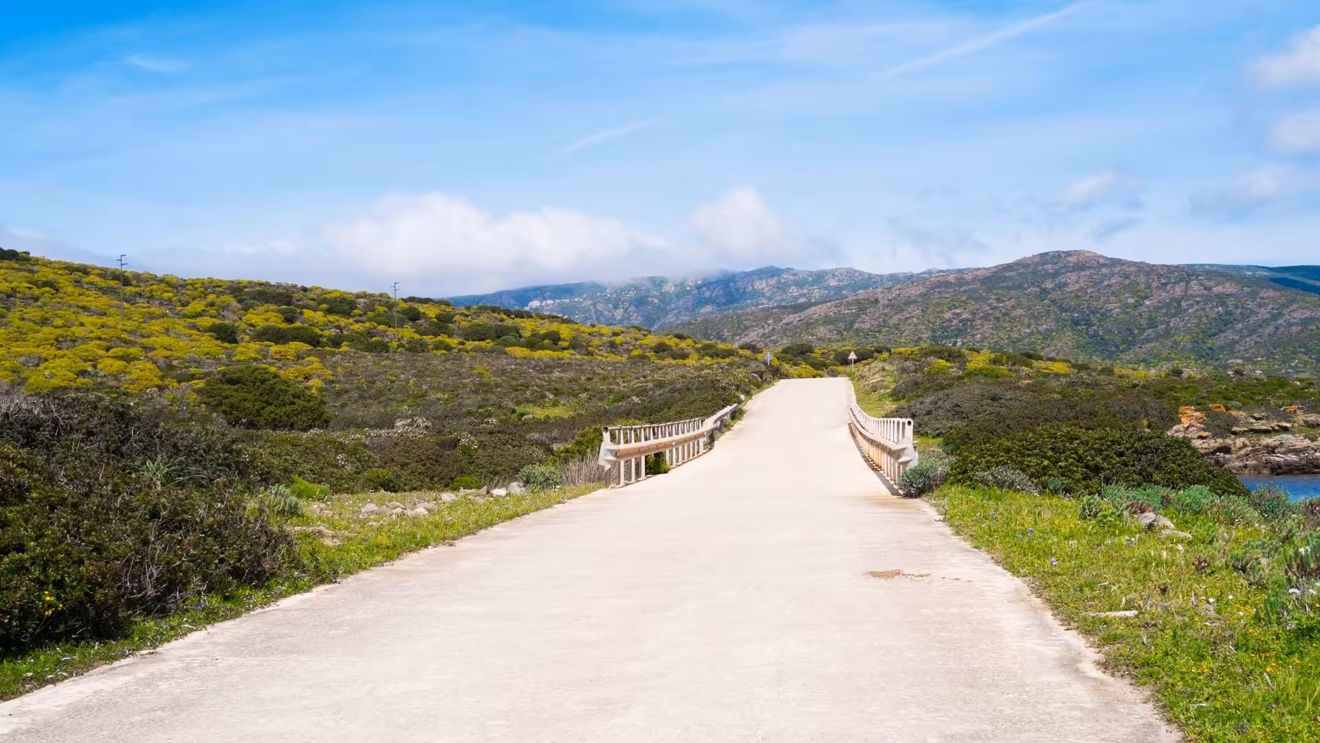 Picturesque path through lush greenery on Asinara Island, ideal for e-bike adventures from Porto Torres.