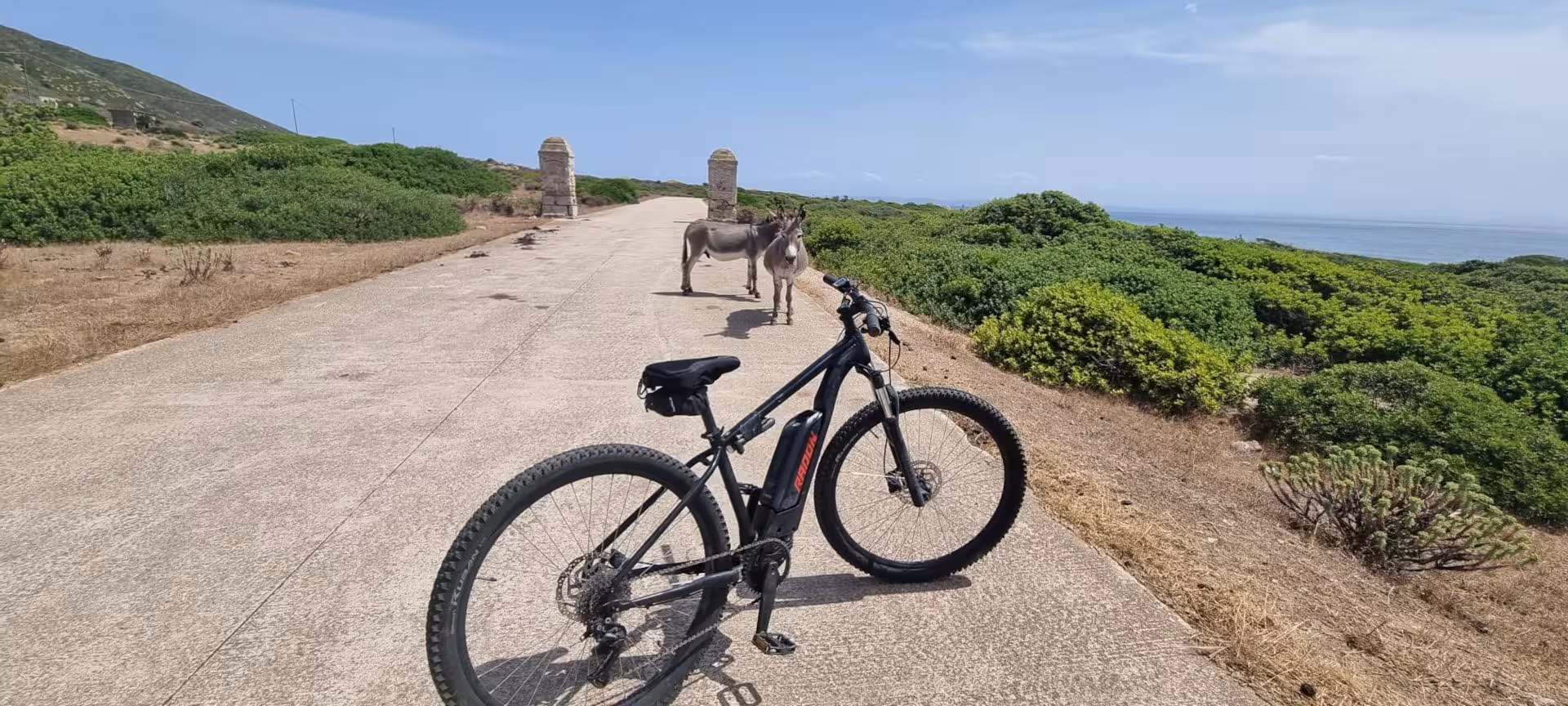 E-bike on a scenic Asinara trail with donkeys, offering a unique Porto Torres cycling experience.