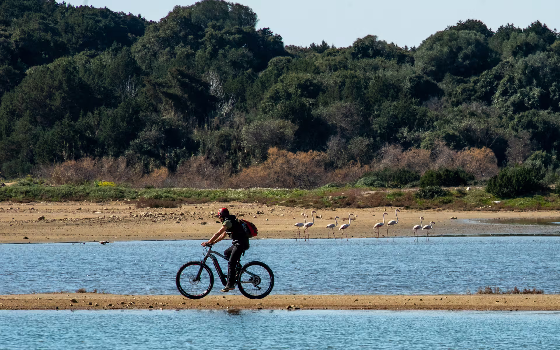 E-Bike Navarino Trail cyclist crossing a lagoon near Gialova with flamingos on the Navarino eco route