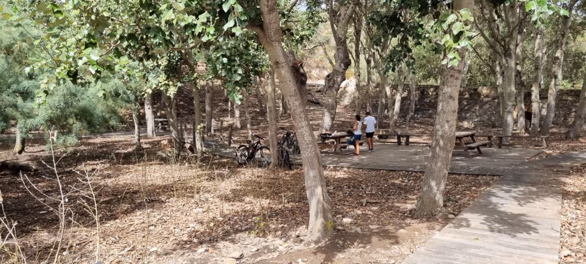 Woodland picnic area with e-bikes on Asinara Island, a serene spot for breaks during e-bike tours from Porto Torres.