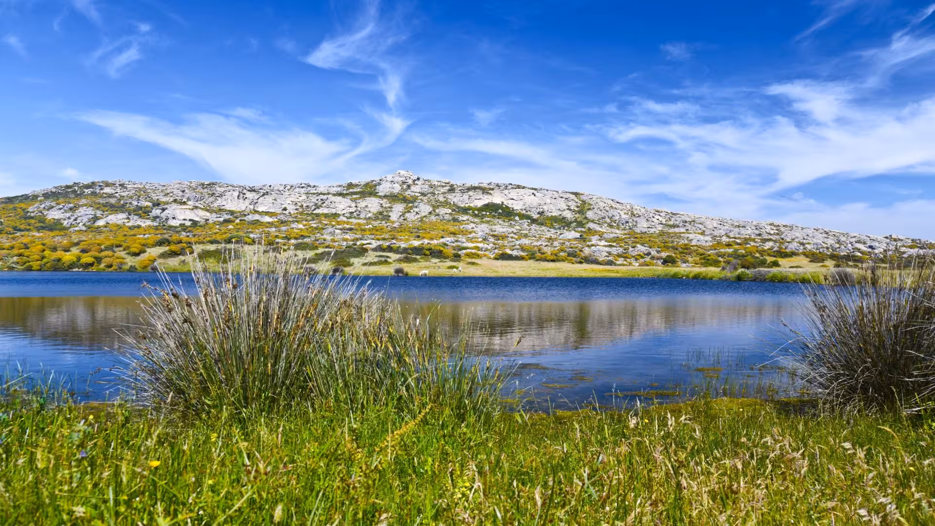 Tranquil Asinara landscape with vibrant greenery and a serene lake, inviting e-bike exploration from Porto Torres.