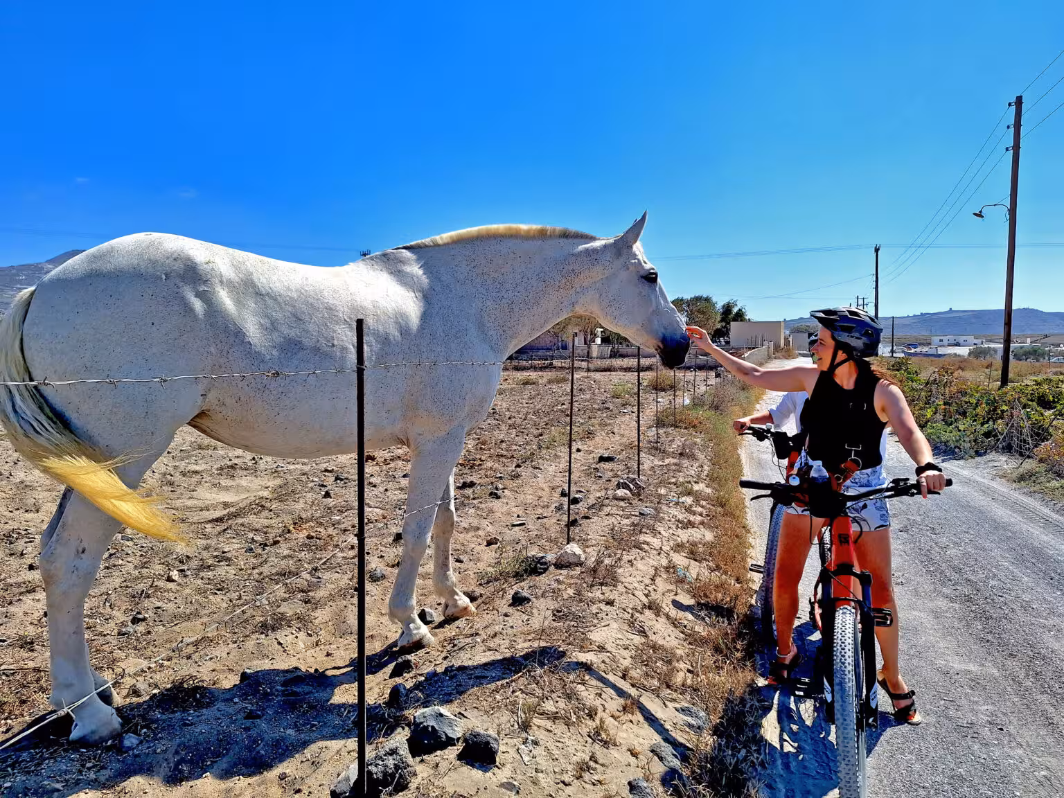 E-bike rider stops to pet a white horse on a scenic Santorini route during a guided morning or sunset tour